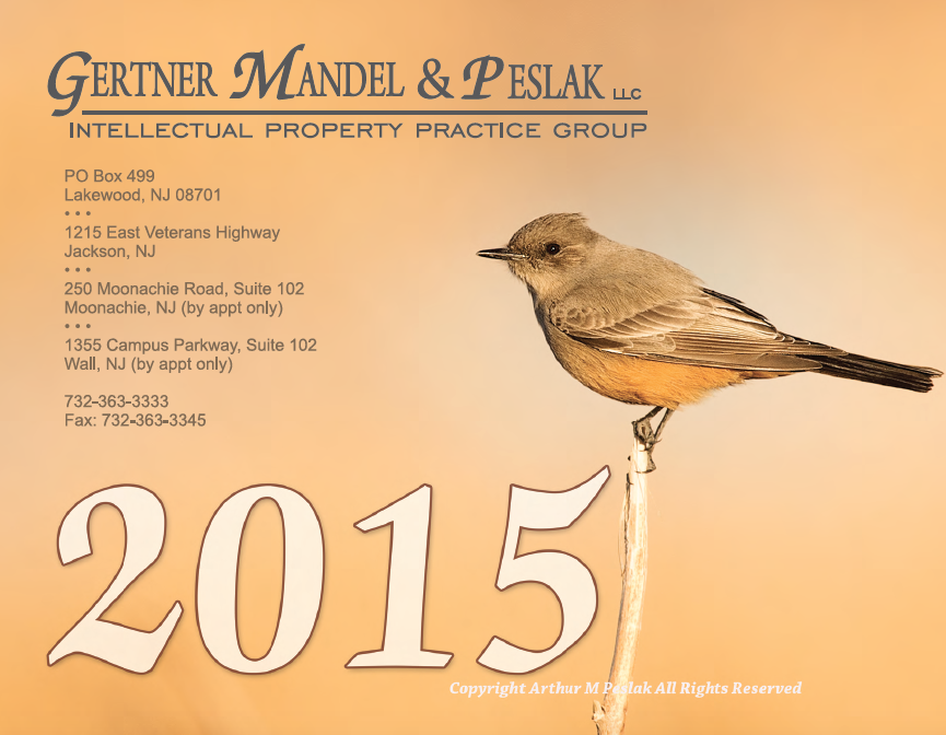 Art Peslak 2015 Calendar